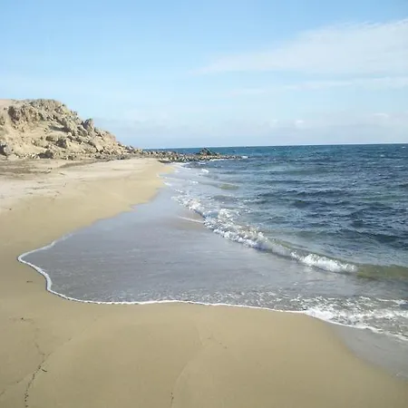 La Crisalide